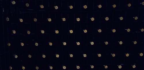 polka dot  wine